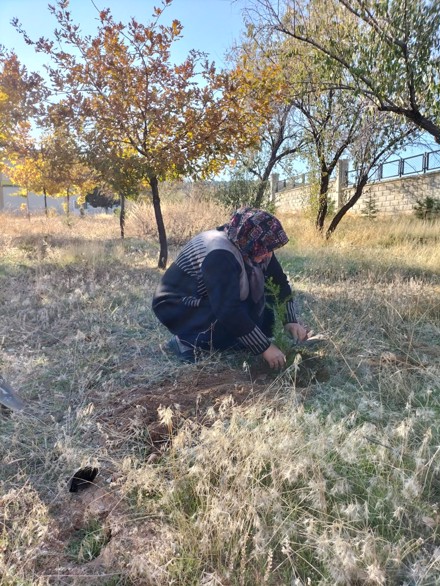 11 Kasım Milli Ağaçlandırma Günü